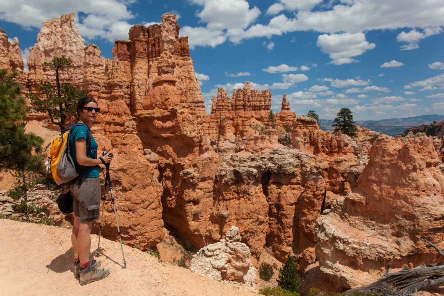 USA_Bryce Canyon_167